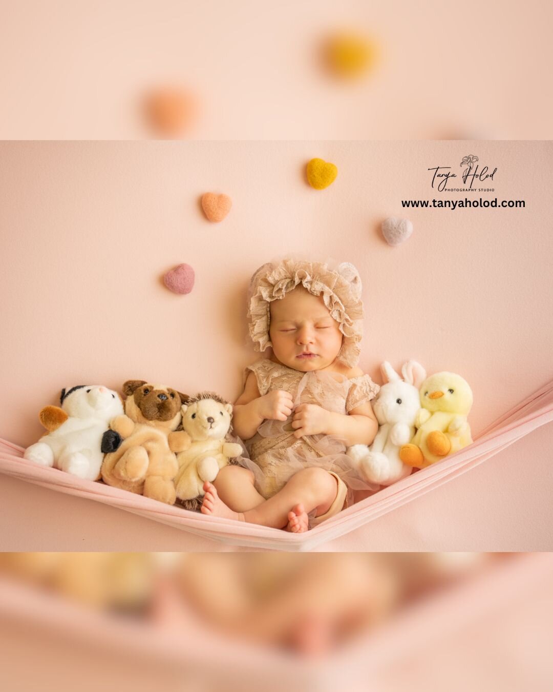 Baby's First Year Bundle - Professional Photography Bundle
